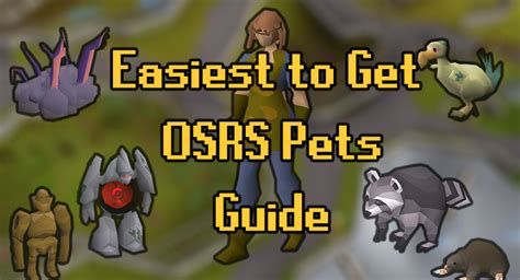 easiest pets to obtain osrs.